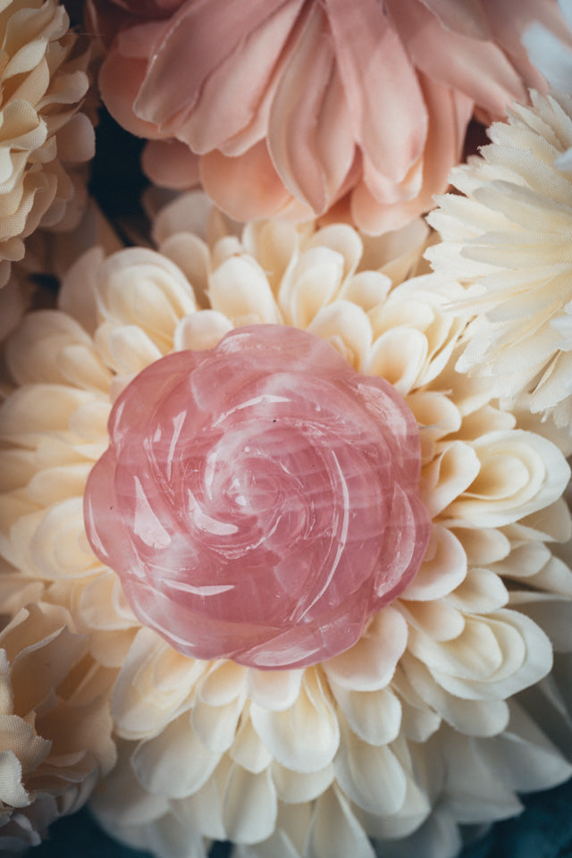 Rose Quartz Rose